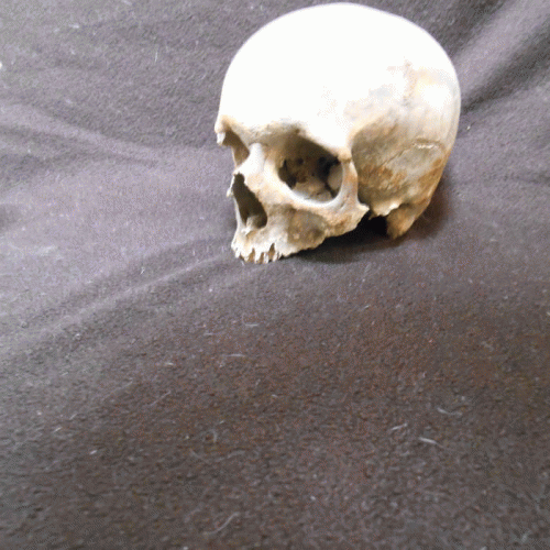 Hermith : L'Autre Monde (Single)